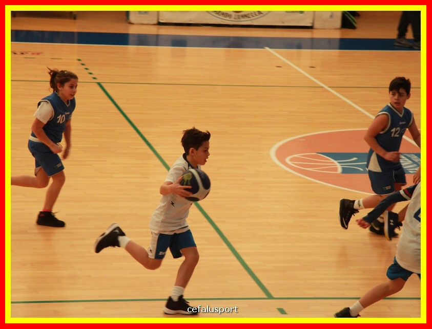 190209 basket 025_tn.jpg